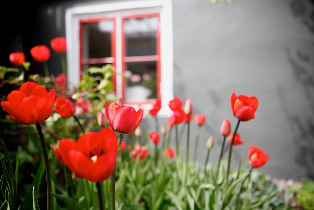 Vaxholms Bed & Breakfast Exterior foto